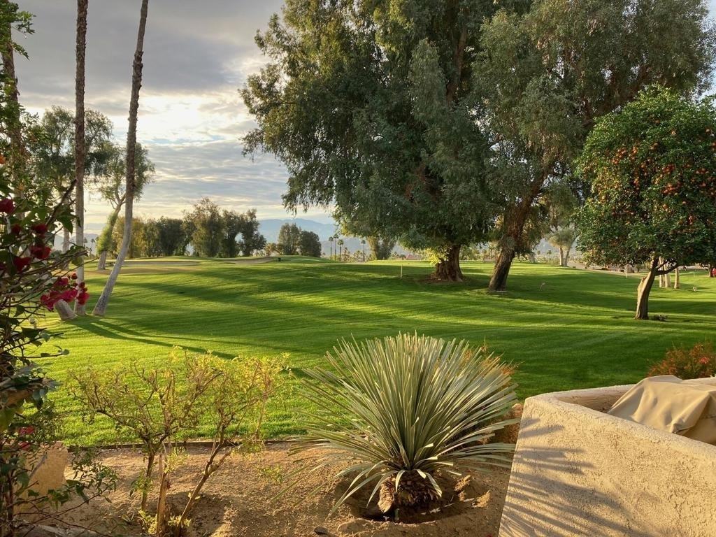 35050 Mission Hills Drive - Photo 12
