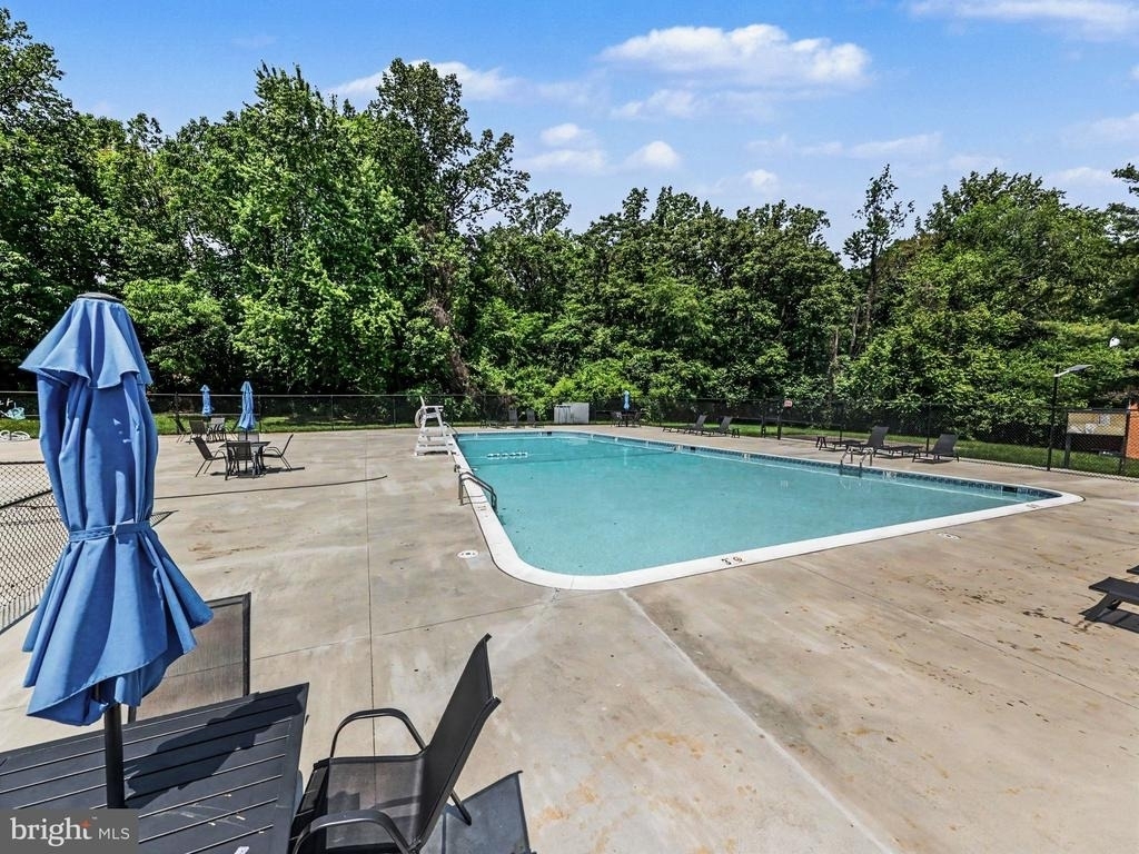 12703 Lotte Drive - Photo 13
