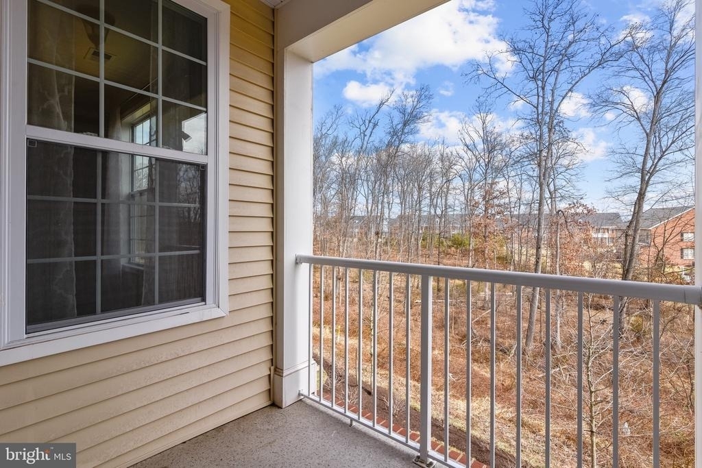 23266 Southdown Manor Terrace - Photo 12