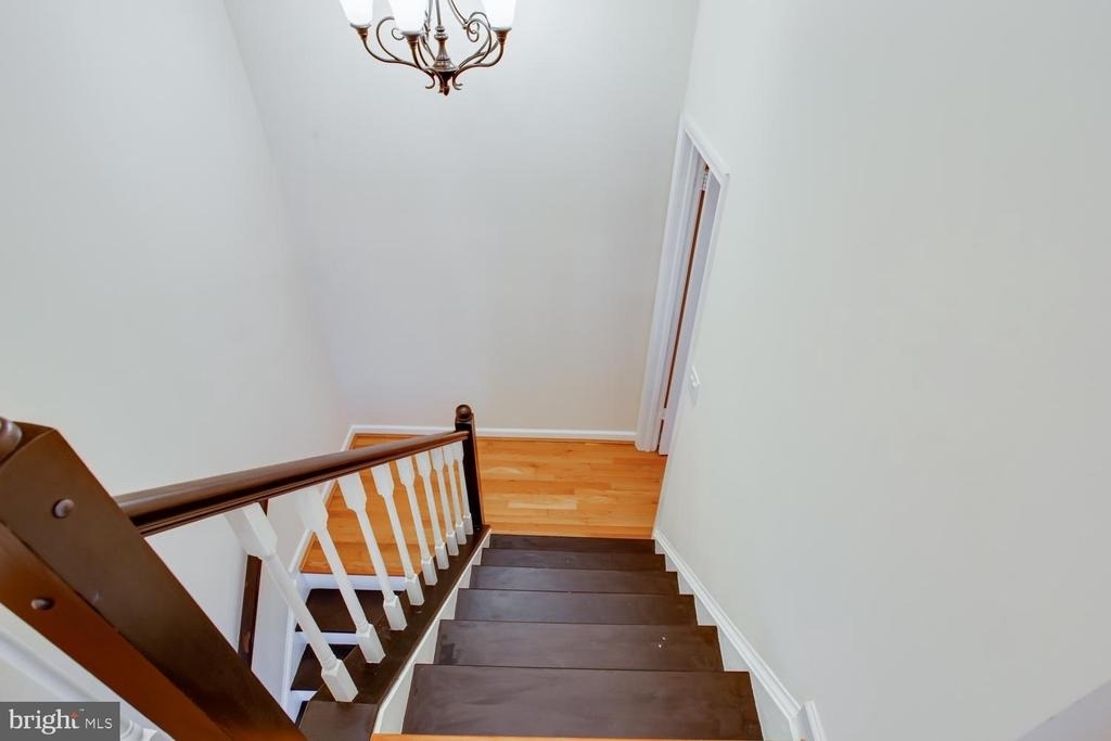 21707 Leatherleaf Circle - Photo 23