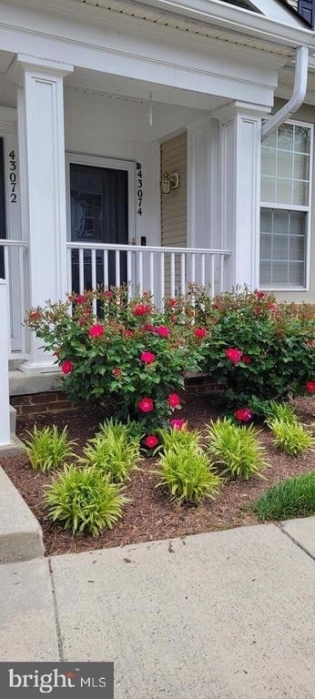 43074 Old Gallivan Terrace - Photo 1