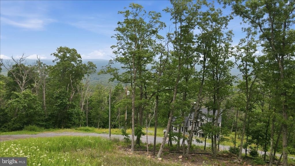 1617 Tomahawk Trail - Photo 41