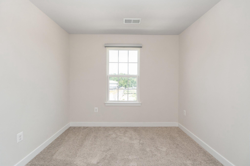1000 Alum Spring Road - Photo 27