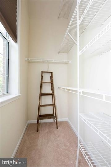 6002 Lincolnia Road - Photo 21