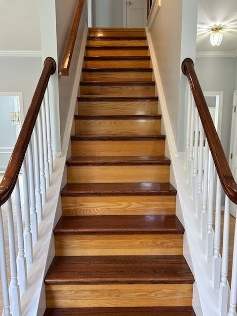 110 Noritake Drive - Photo 2