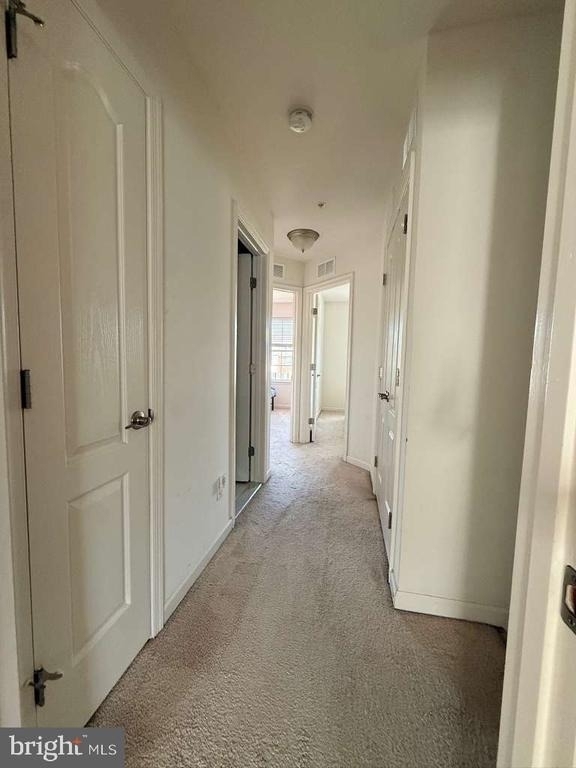7930 John Galt Way - Photo 12