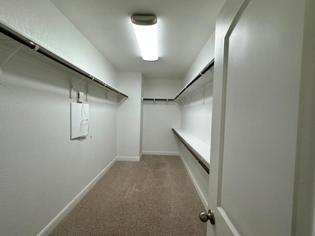 3004 Desert Shade Bnd - Photo 12