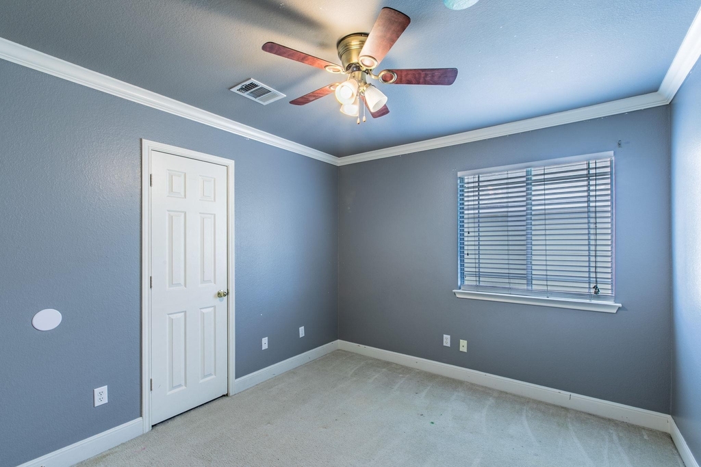 824 Palo Duro Dr - Photo 14