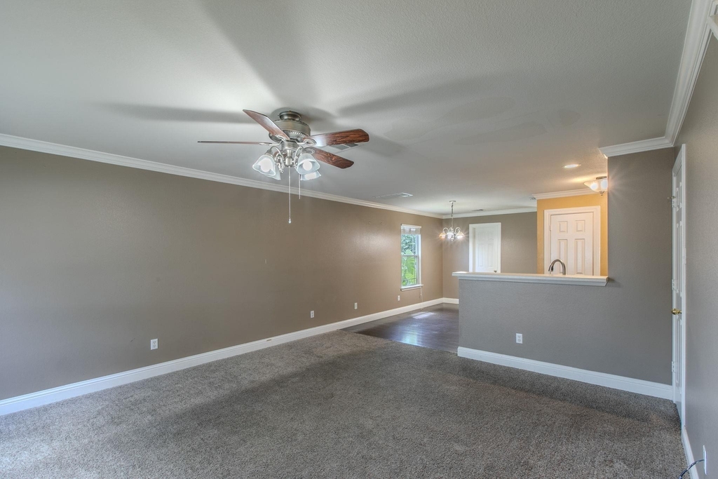 824 Palo Duro Dr - Photo 1
