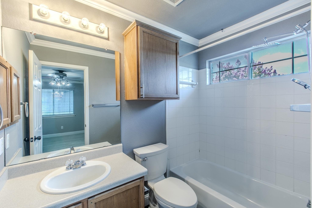 824 Palo Duro Dr - Photo 12