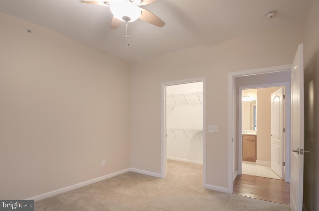 12001 Old Vine Boulevard - Photo 31