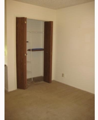 12407 Tree Line Dr - Photo 8