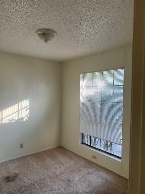 112 Verna Spur - Photo 19