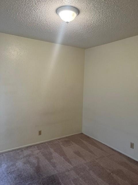 112 Verna Spur - Photo 21