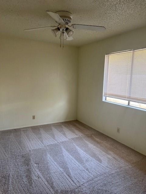112 Verna Spur - Photo 13