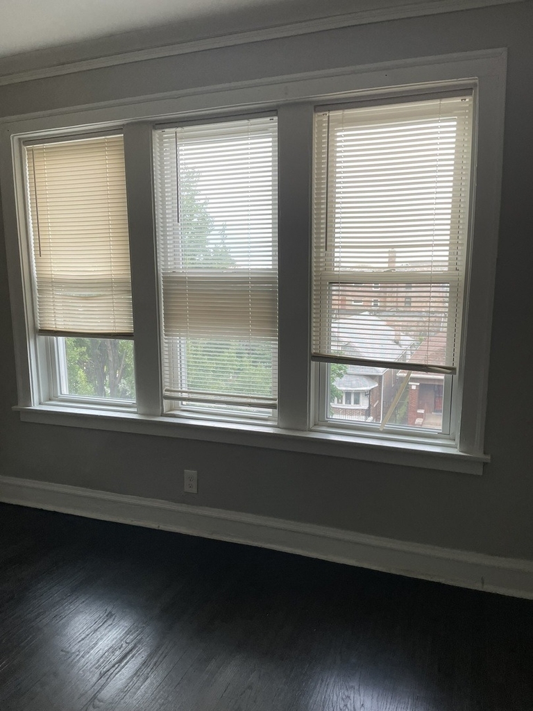 7922 S Marshfield Avenue - Photo 3