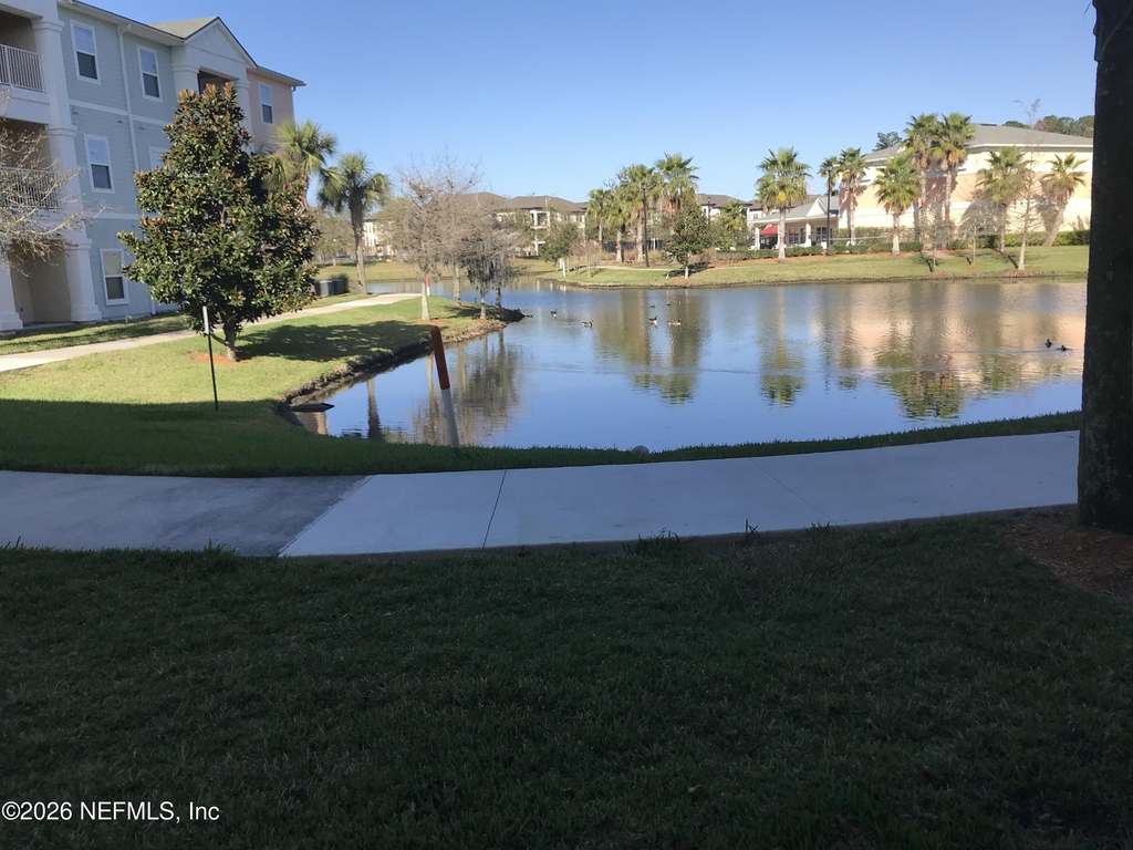 8201 Green Parrot Road - Photo 3