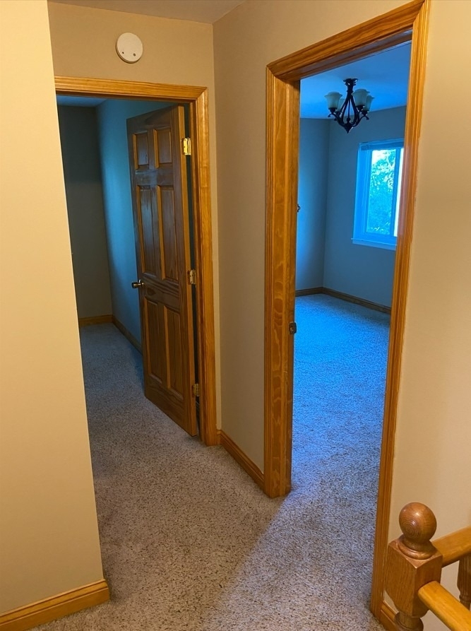 1194 Cove Drive - Photo 8