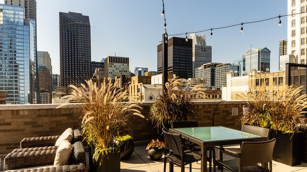 6 N Michigan Avenue - Photo 13