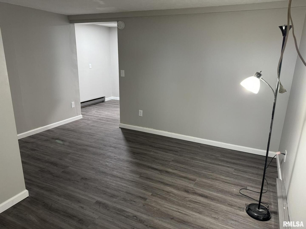 209 E 10th Street - Photo 2