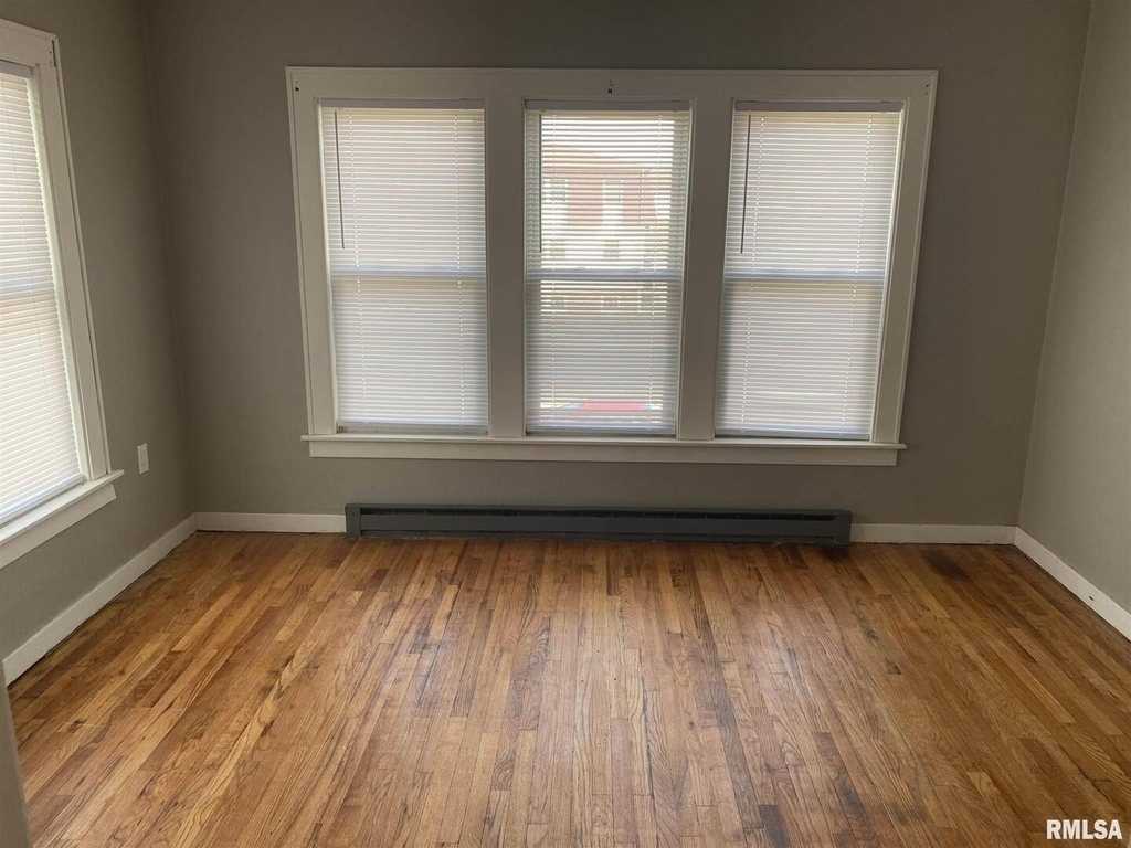 209 E 10th Street - Photo 3