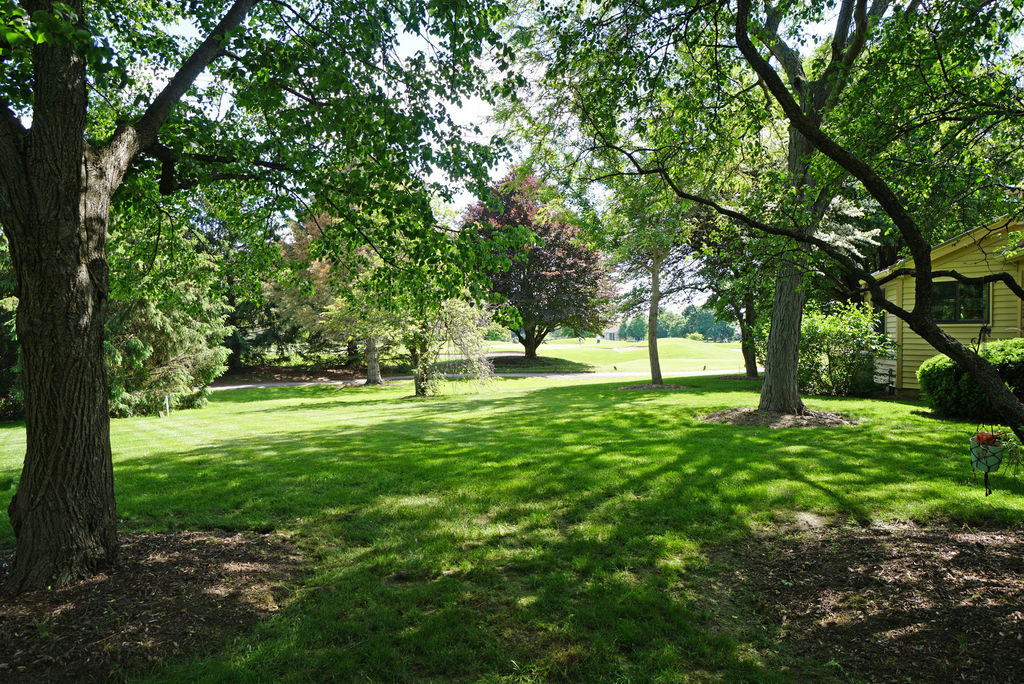 229 Willow Parkway - Photo 27