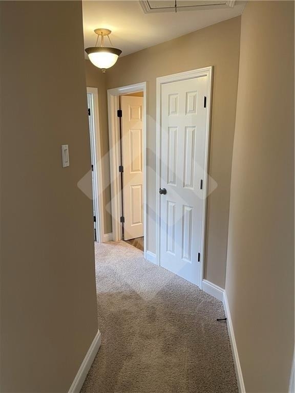 4839 Lake Park Lane - Photo 18
