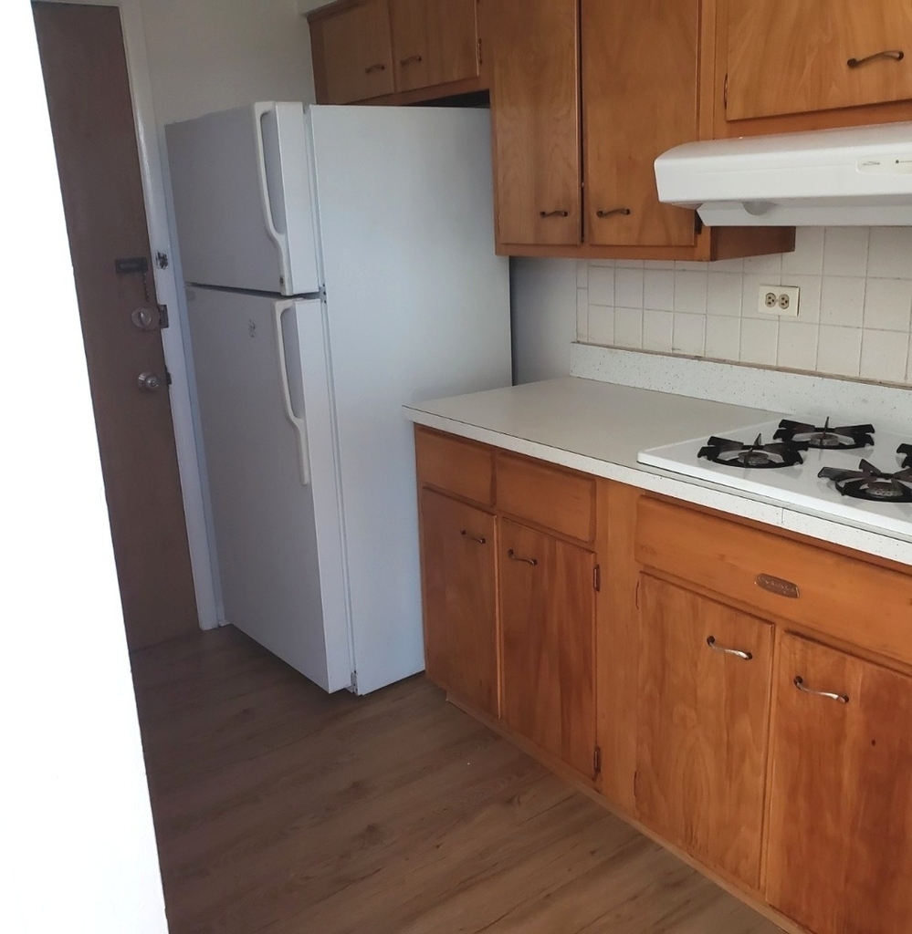 8537 Niles Center Road - Photo 4