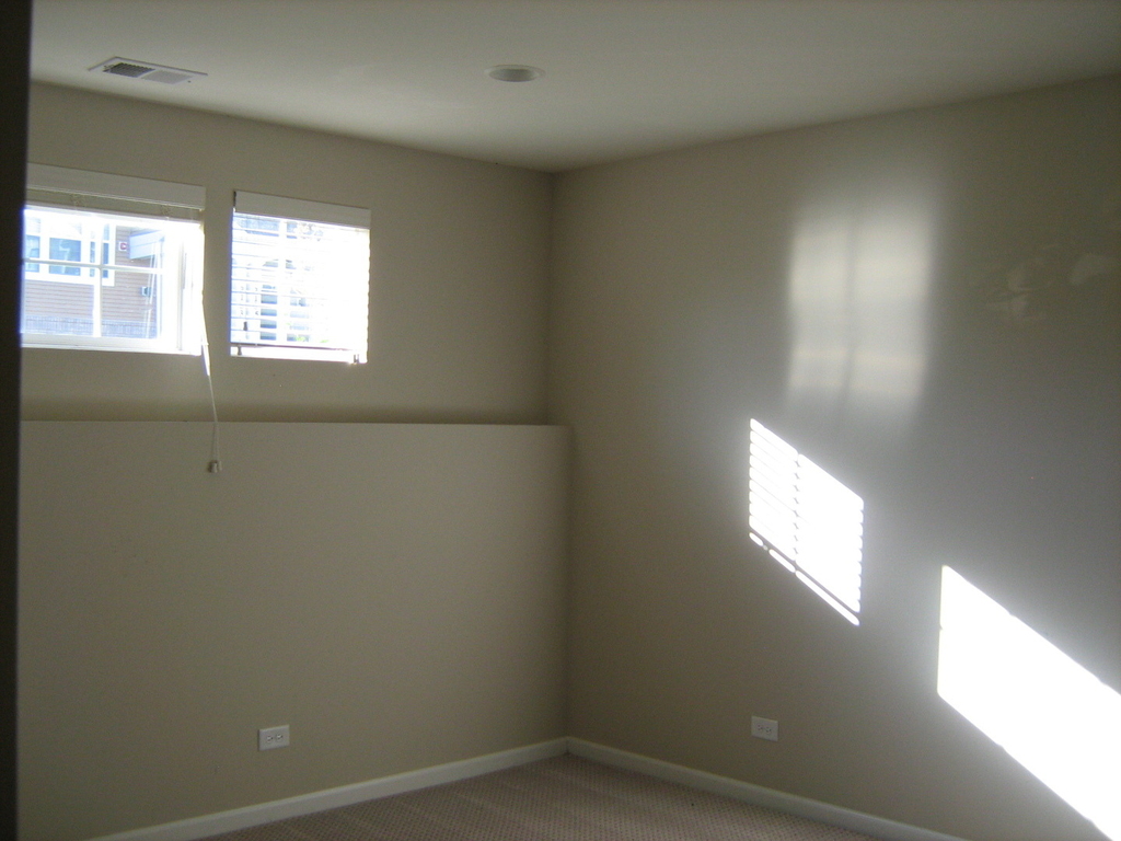 3175 Coral Lane - Photo 11