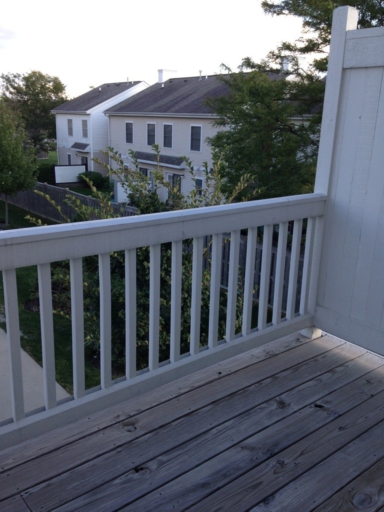3175 Coral Lane - Photo 14