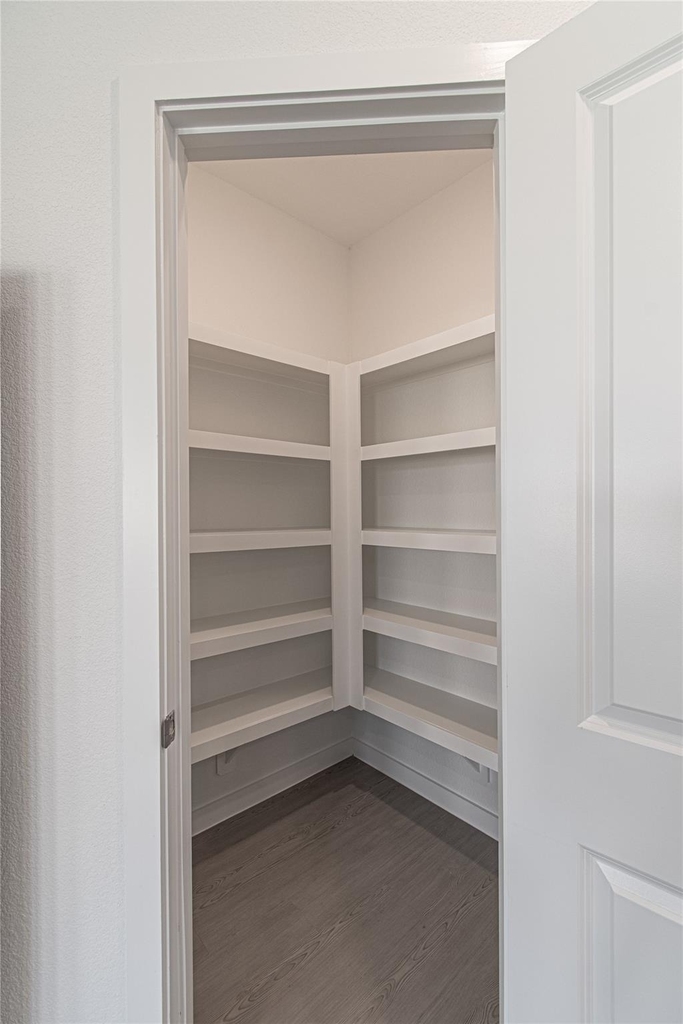 3022 Palm Branch - Photo 4