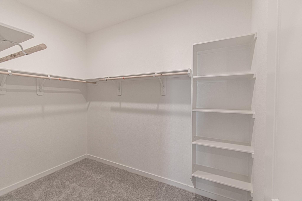3022 Palm Branch - Photo 11