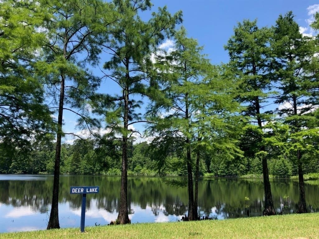 1016 Shoal Creek Trail - Photo 26