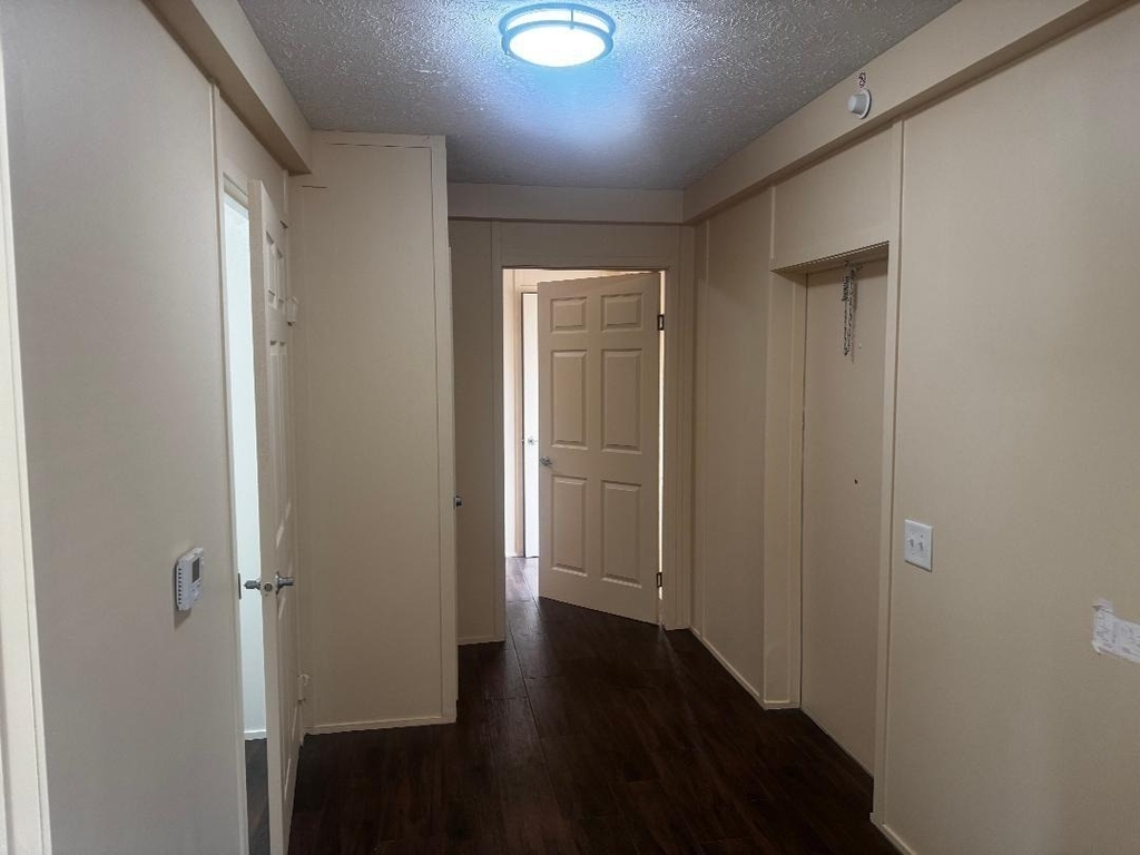 13929 Eagle Pass Street - Photo 5