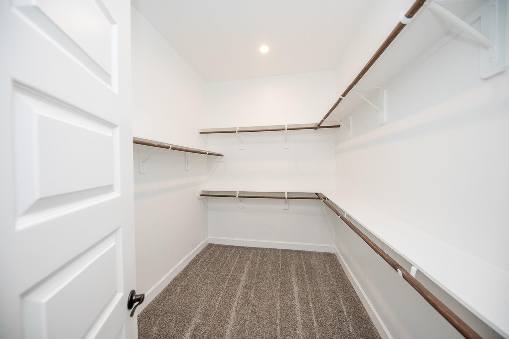21515 Blue Porterweed Trail - Photo 13