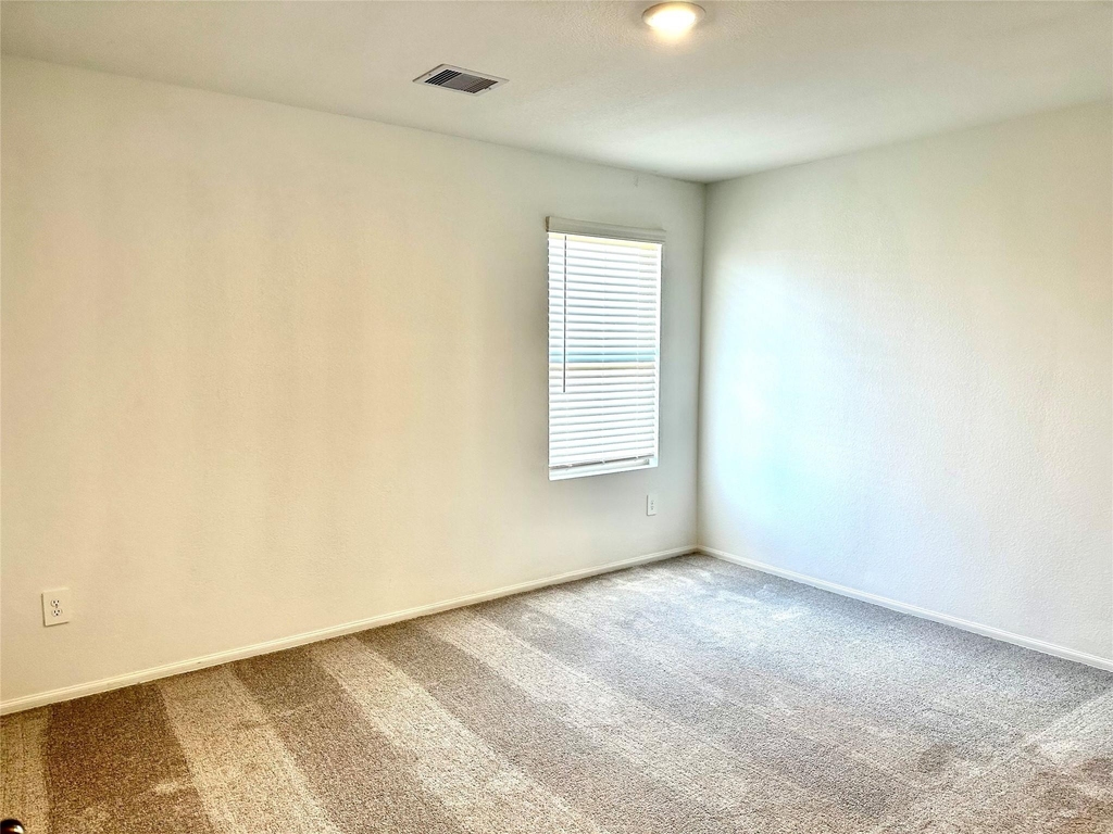 325 Birch Blossom Path - Photo 8