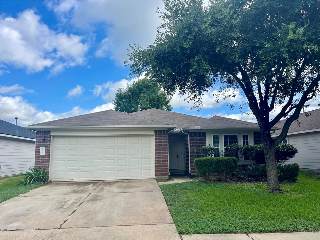 21522 Gannet Peak Way - Photo 14