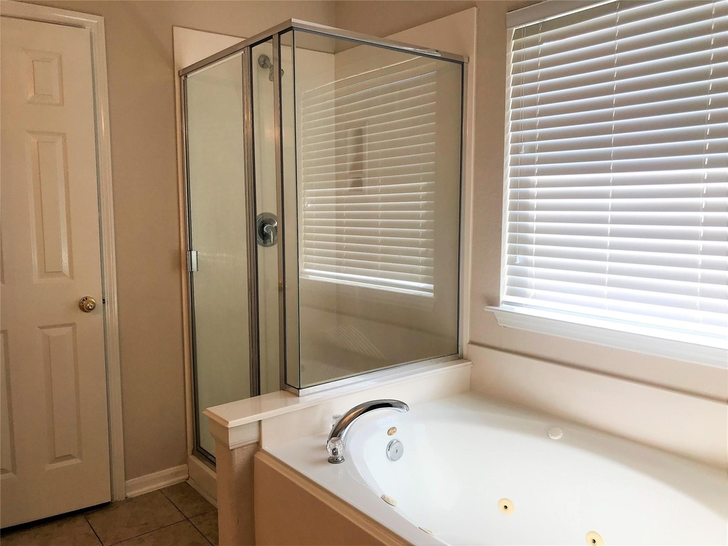 21522 Gannet Peak Way - Photo 9