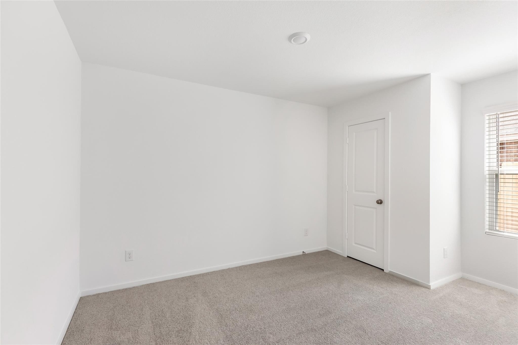 917 Capracotta Drive - Photo 12