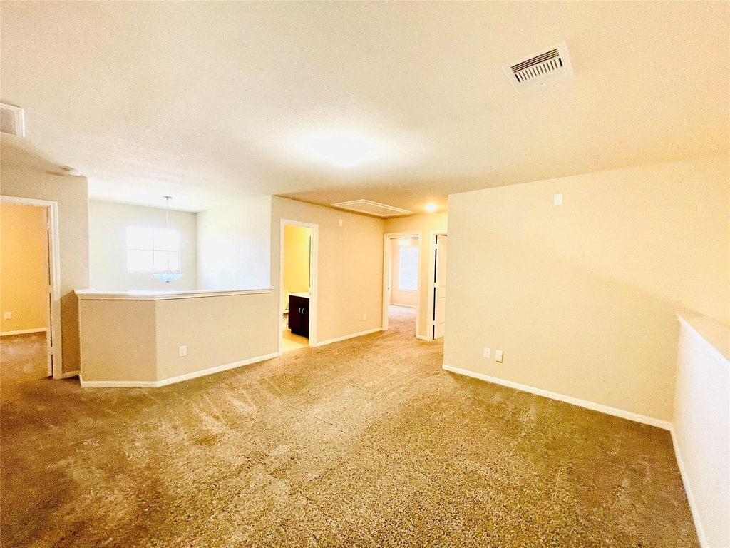 2918 Isla Gorge Court - Photo 29