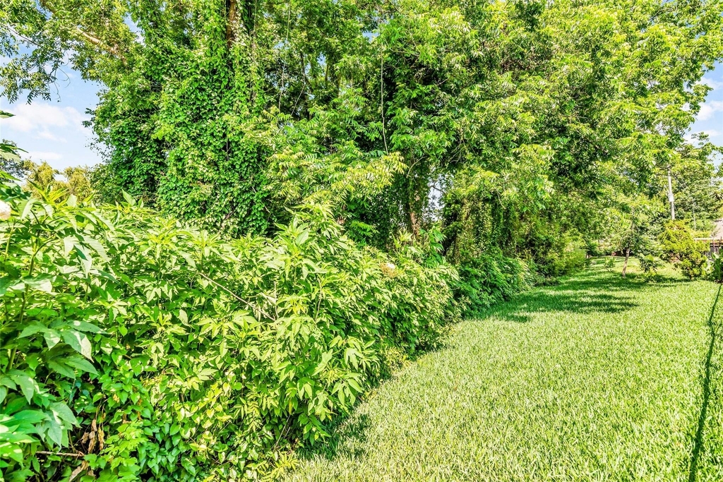13506 Schumann Trail - Photo 31