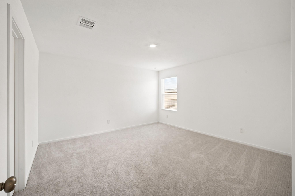 702 Umbrella Tree Drive - Photo 19