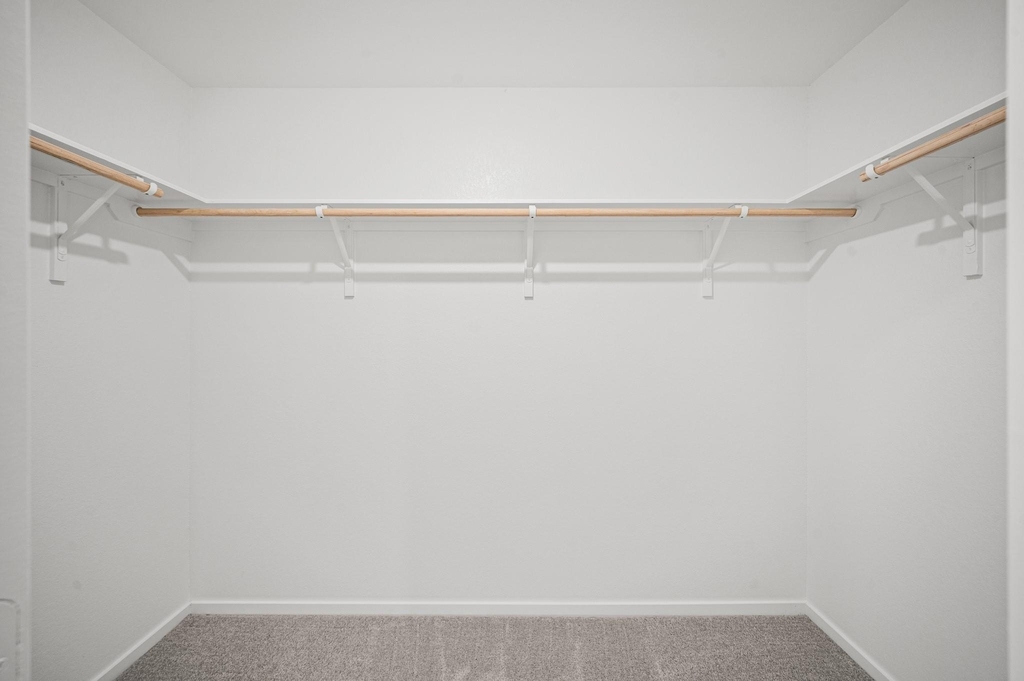 702 Umbrella Tree Drive - Photo 15