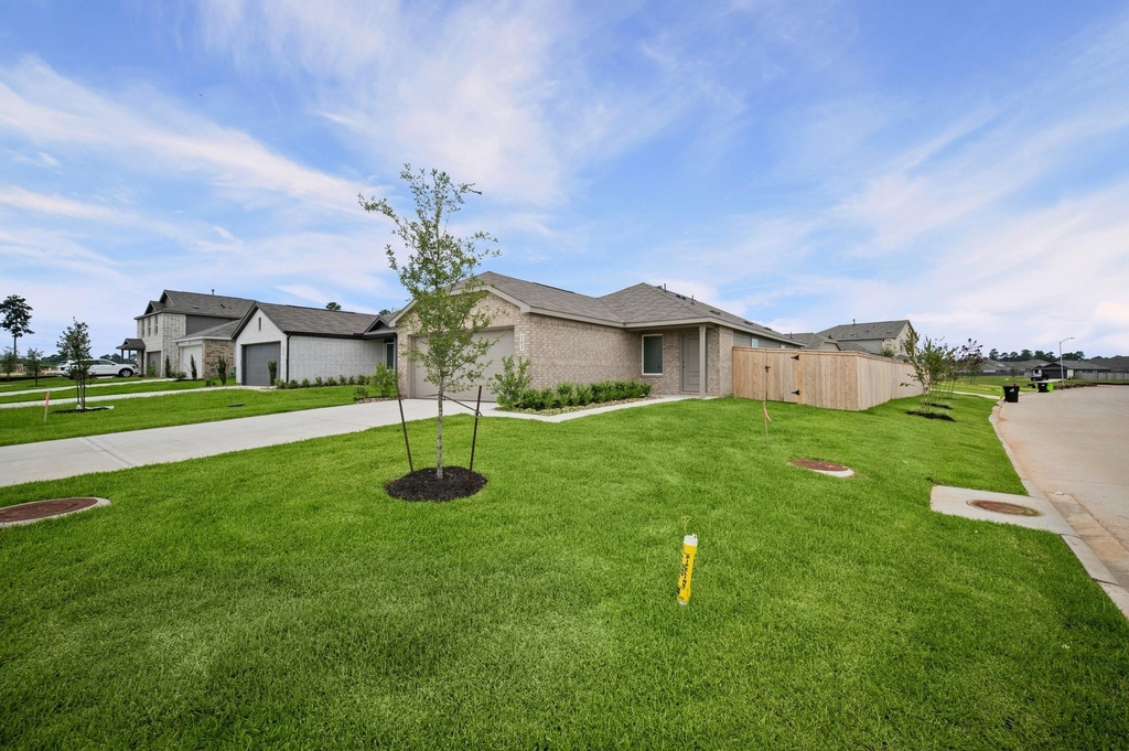 702 Umbrella Tree Drive - Photo 2
