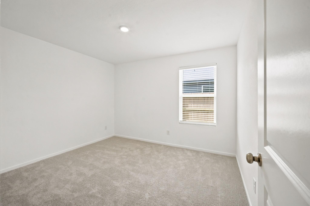 702 Umbrella Tree Drive - Photo 12