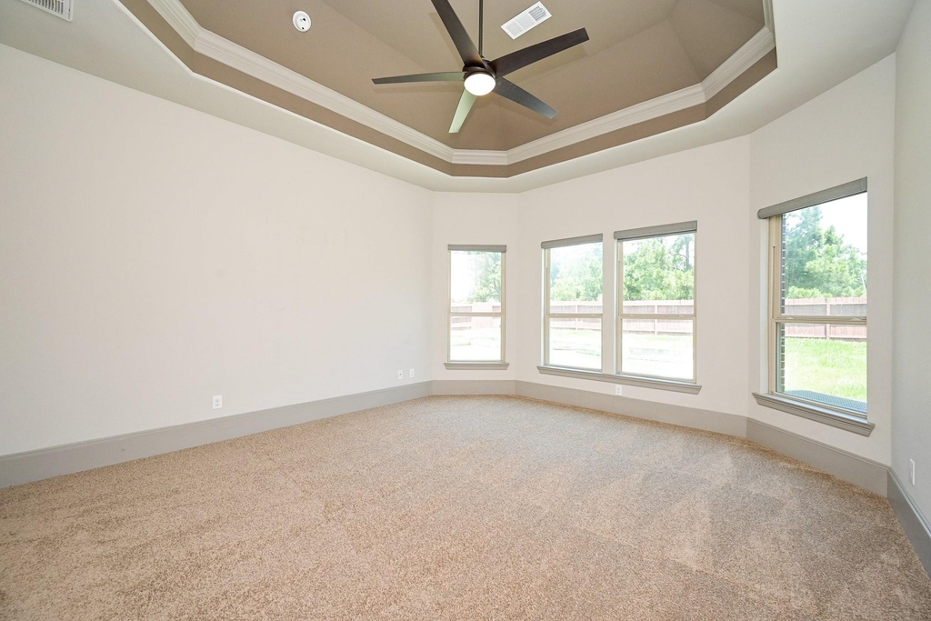 25235 Birchwood Springs Avenue - Photo 17