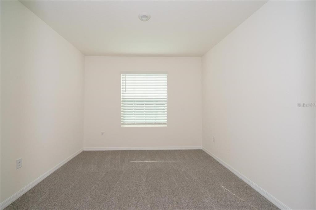 34293 Sorrel Mint Drive - Photo 26