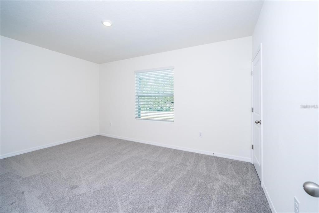 34293 Sorrel Mint Drive - Photo 17