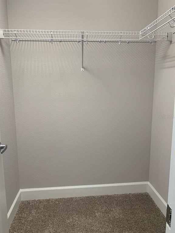 4702 Terra Esmeralda Drive - Photo 8