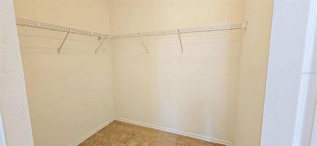 200 Southern Pecan Circle - Photo 7